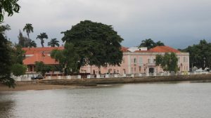 Ministério da Saúde