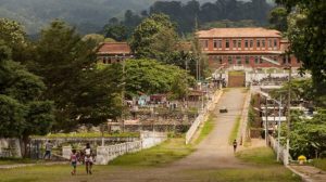 Ministério da Saúde