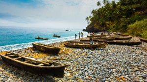 Ministério da Saúde