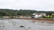 Ministério da Saúde