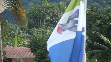 Bandeira da Região Autónoma do Príncipe